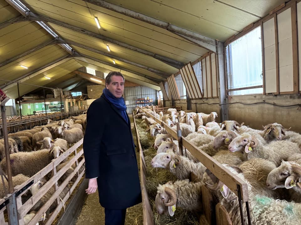 Olivier Becht en visite dans une bergerie
