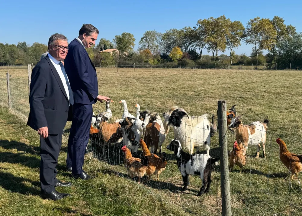 Olivier Becht en visite dans une ferme, au milieu des chèvres et des poules